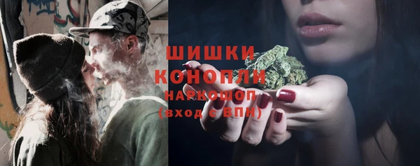 PSILOCYBIN Абаза