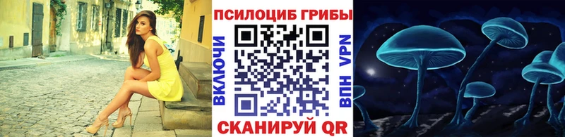 mega зеркало  где найти   Ильский  маркетплейс клад  Галлюциногенные грибы Magic Shrooms 